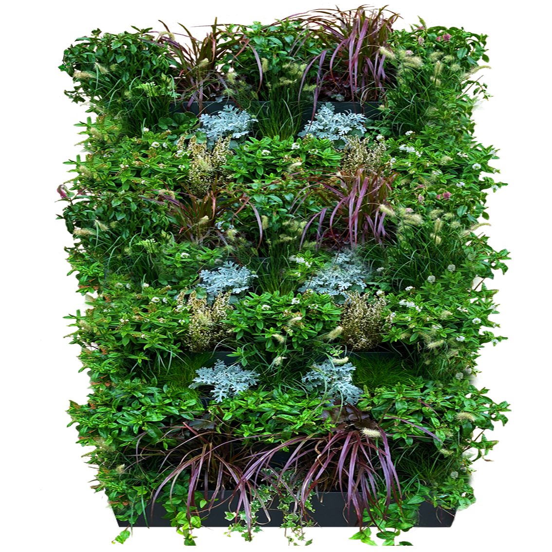 GreenWalls vertical living plant wall W100 X H120cm self build battery powered system 1 x W100cm column x 6 tray high without sidewalls