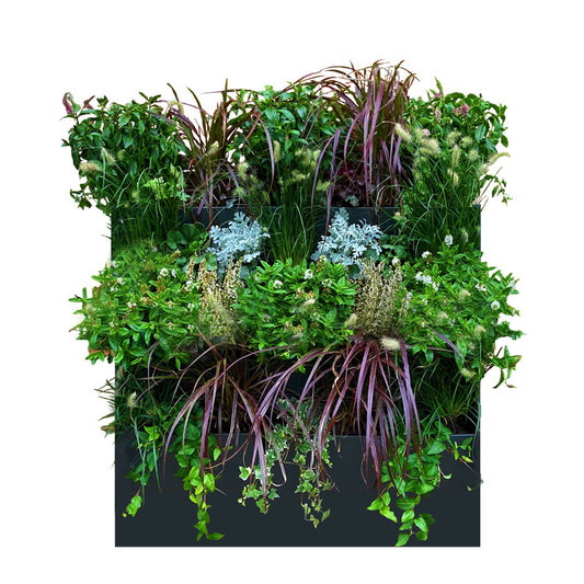 GreenWalls BOTTOM LEVEL battery operated self-build living plant wall kit - 60cm 3 tray high planting system with sidewalls