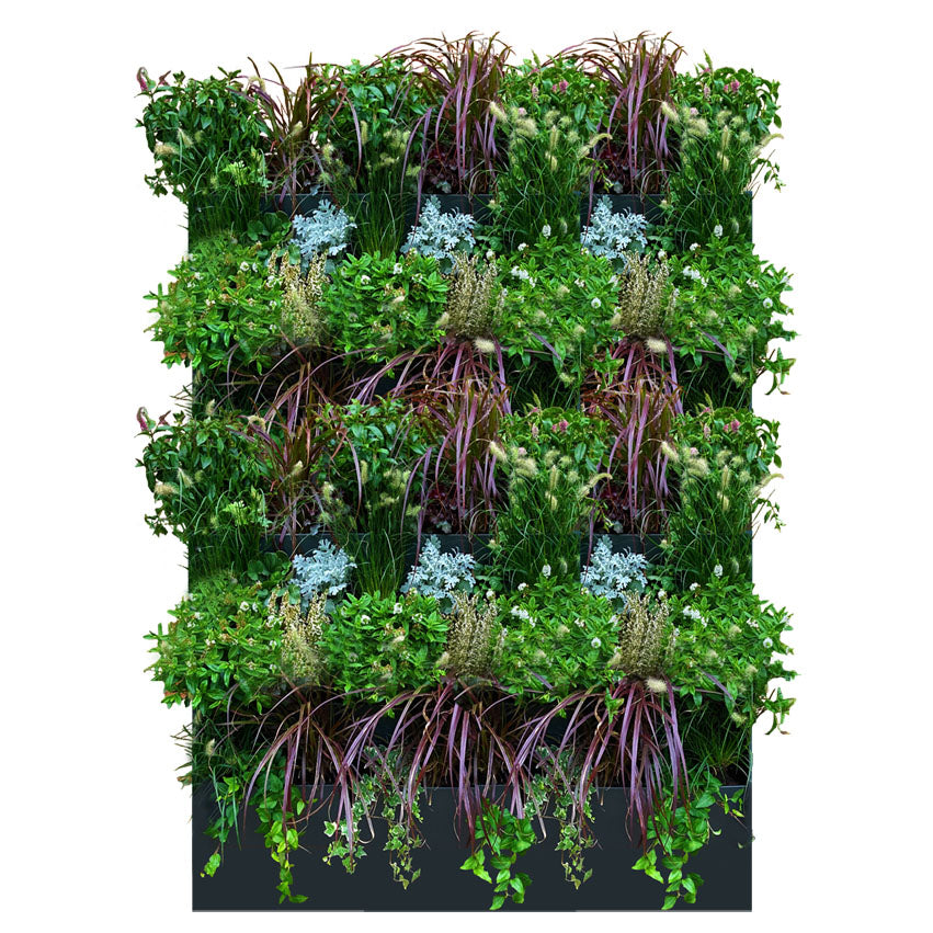 GreenWalls vertical living plant wall W80 X H120cm self build battery powered system 2 x W40cm tray columns - 6 tray high kit without sidewalls