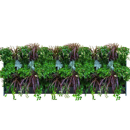GreenWalls vertical living plant wall W200 X H60cm self build battery powered system 2 x W100cm columns x 3 tray high kit with sidewalls