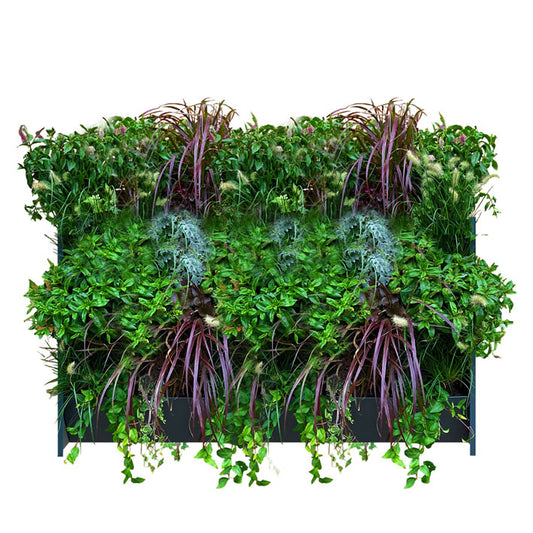 GreenWalls vertical living plant wall W80 X H60cm self build battery powered system 2 x W40cm tray column x 3 tray high kit with sidewalls