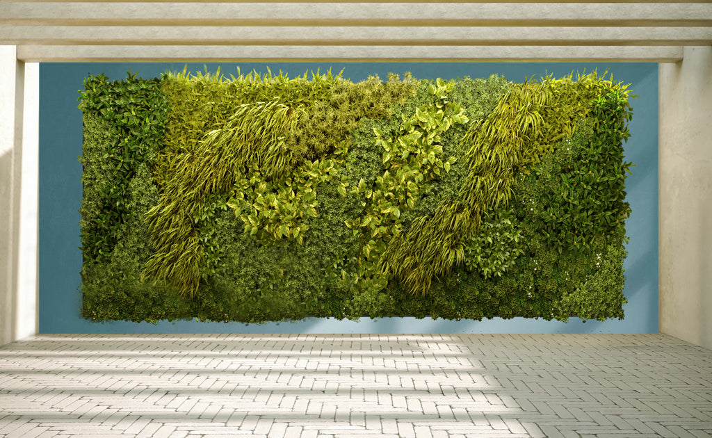 planting a living wall