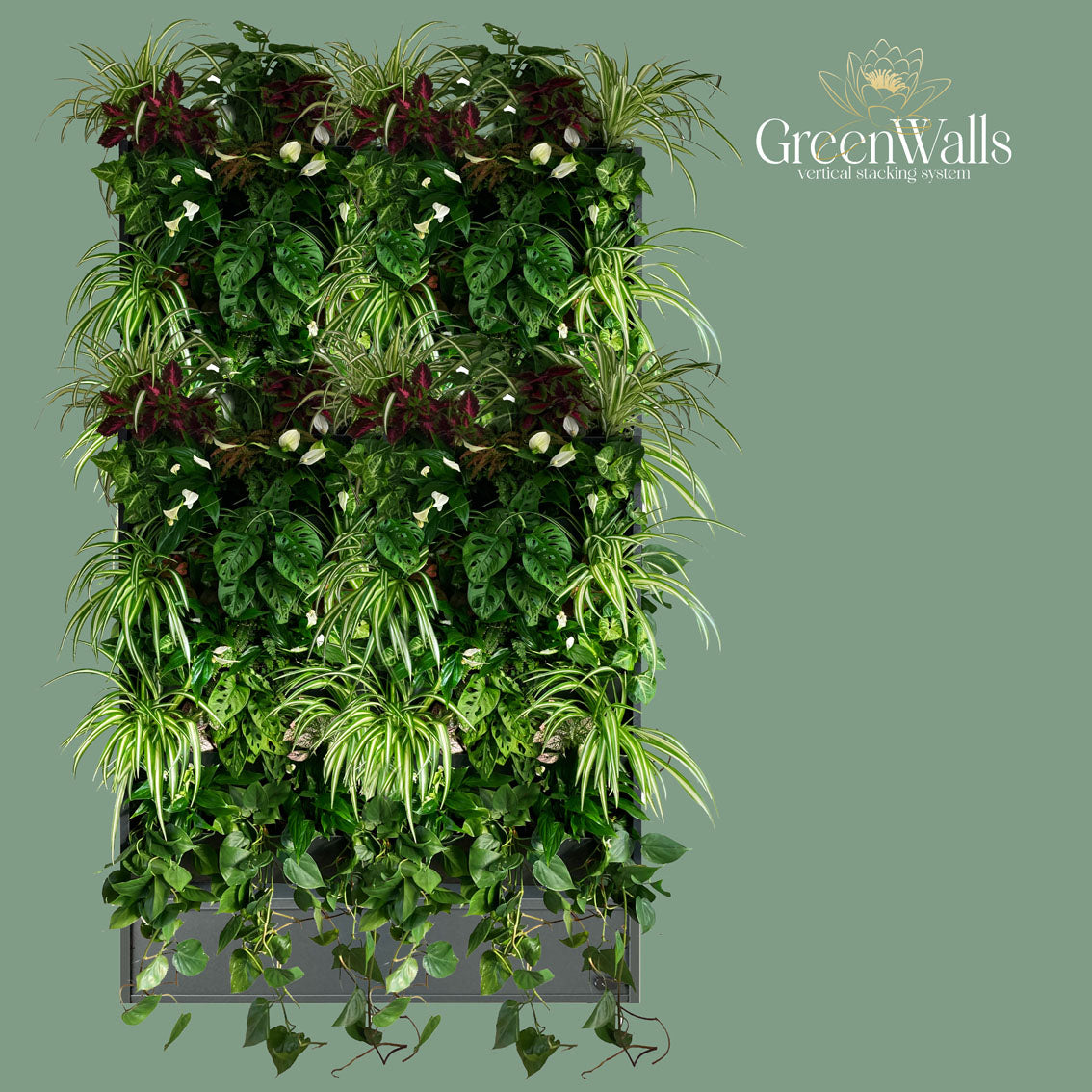 GreenWalls BOTTOM LEVEL semi automatic plug-in self-build living plant wall kit - 60cm 3 tray high planting system with sidewalls