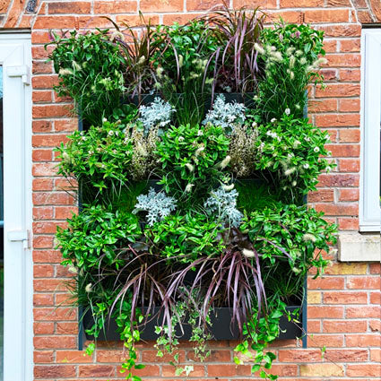 outdoor living wall cost & system