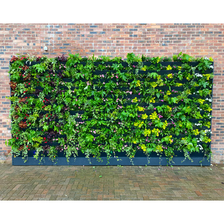 GreenWalls BOTTOM LEVEL battery operated self-build living plant wall kit - 60cm 3 tray high planting system with sidewalls