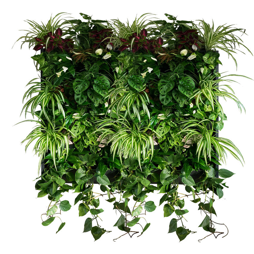 GreenWalls UPPER LEVEL self-build living plant wall kit - 60cm 3 tray high planting system with sidewalls