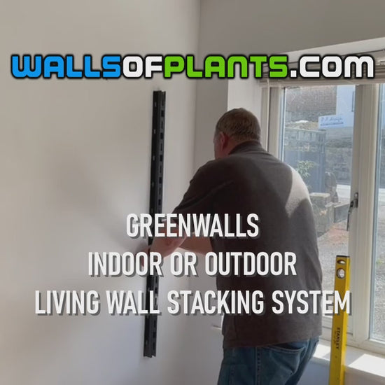 How to build an indoor GREENWALLS vertical living plant wall in 15 seconds
