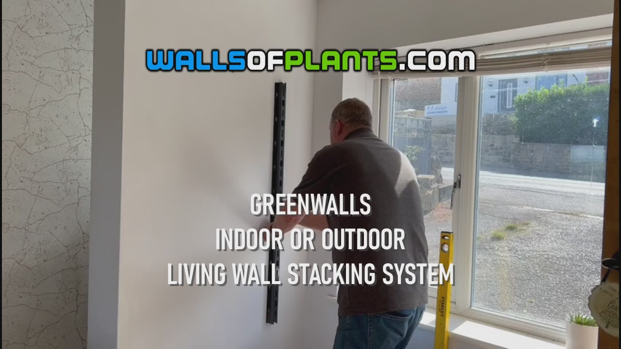 How to build an indoor GREENWALLS vertical living plant wall in 15 seconds