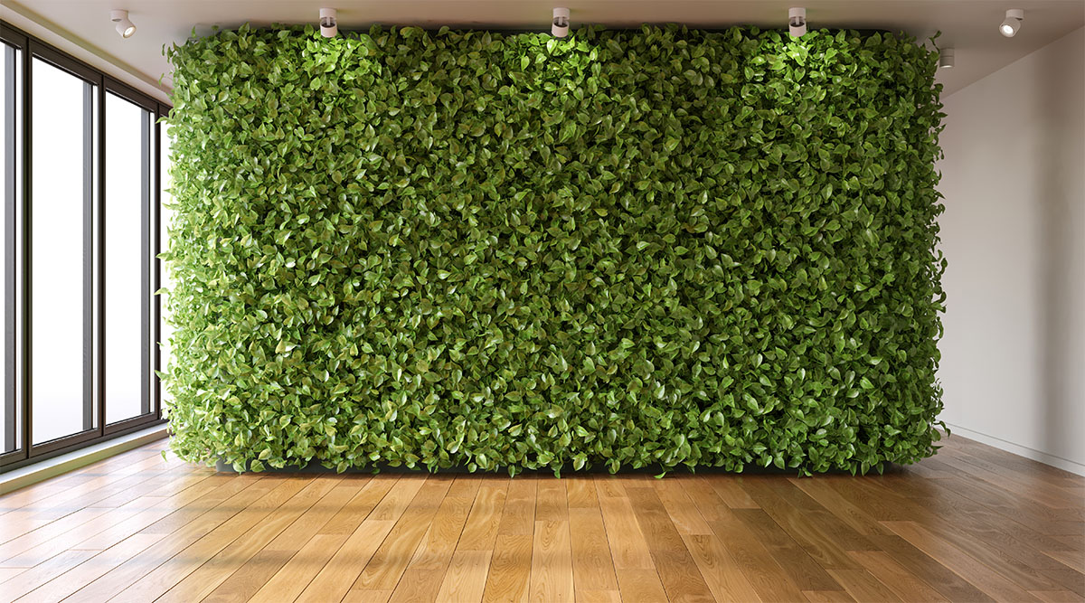 Plant Wall Installation